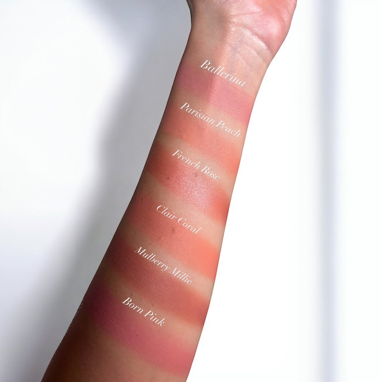 Blush Kit (5 Colours)